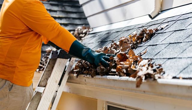 Exterior Gutter Cleaning